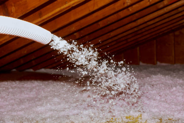 Insulation Inspection Services in Guntersville, AL