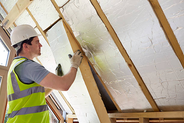 Best Insulation for New Construction  in Guntersville, AL